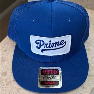 OTTO Royal Blue and White Mesh Snapback Caps (2 hats)